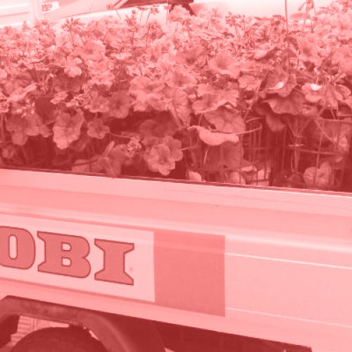 OBI Italia per il terremoto