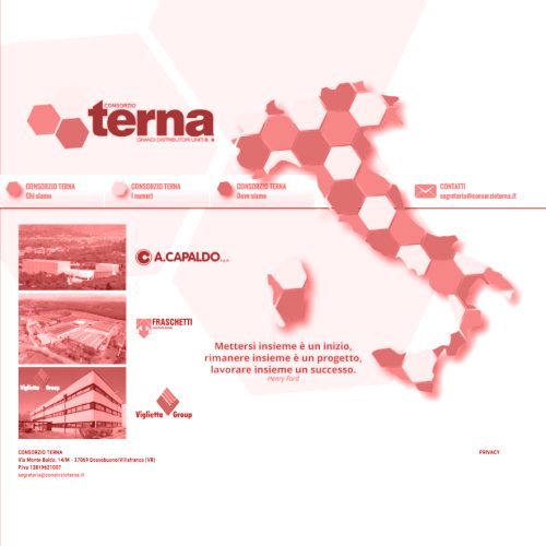 Il nuovo sito web di Terna