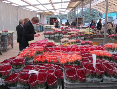 Marsala 2011: i mercati dei fiori
