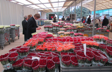 Marsala 2011: i mercati dei fiori