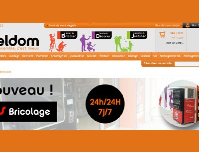 SOS Bricolage in Francia