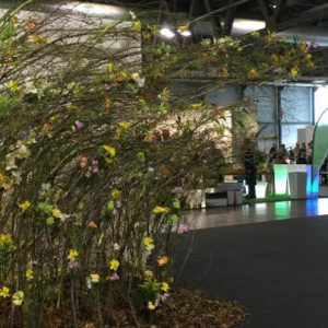 Le date di Myplant & Garden 2017 