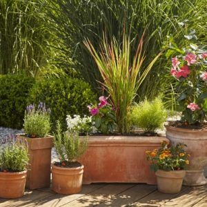 Cresce l&rsquo;offerta Micro-Drip-System di Gardena