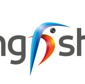Kingfisher, la ricetta funziona?