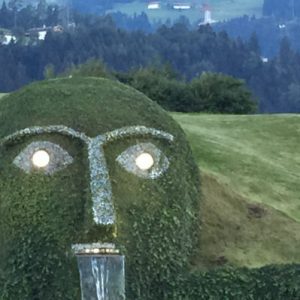 2015. Macchine da giardino in crescita