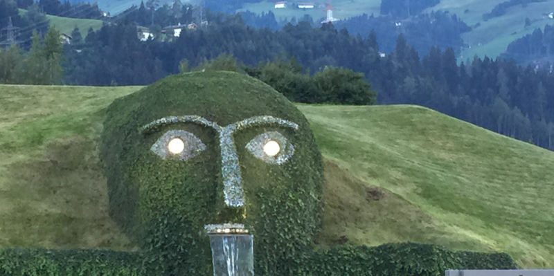 2015. Macchine da giardino in crescita