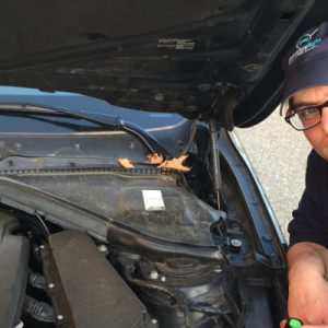 Aumenta la voglia di usato (per la gioia del reparto car care)