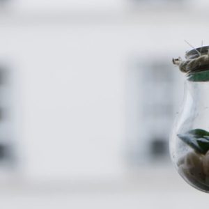 ManoMano, l&rsquo;estate green degli italiani