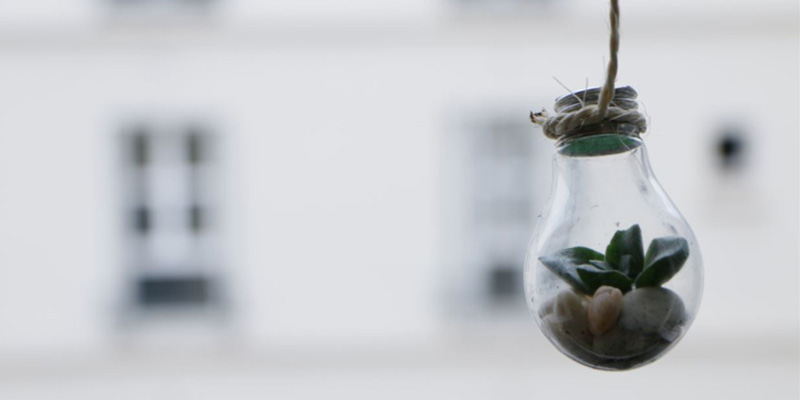 ManoMano, l’estate green degli italiani