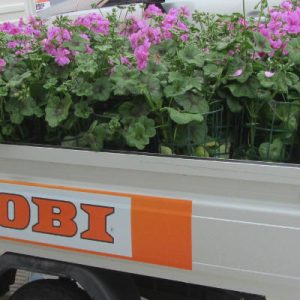 OBI Italia per il terremoto