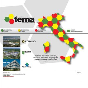 Il nuovo sito web di Terna