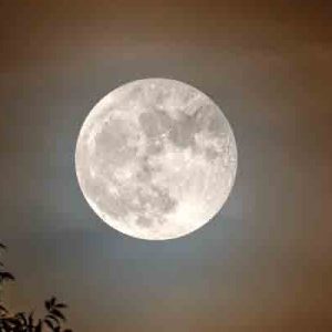 Orticolario, il giardinaggio evoluto sotto il segno della Luna