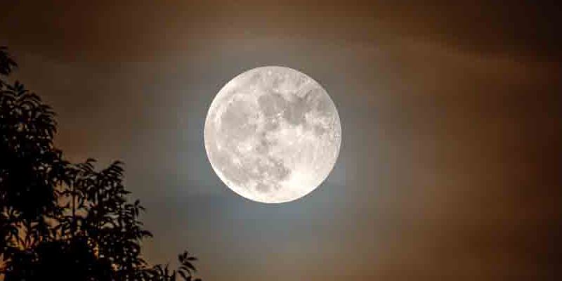 Orticolario, il giardinaggio evoluto sotto il segno della Luna