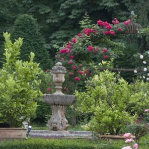 Crescono del 20% le vendite on line del garden UK