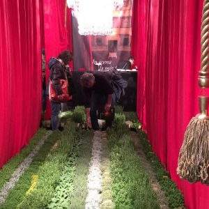 La GDS del bricolage a MyPlant&Garden, con www.diyandgarden.com