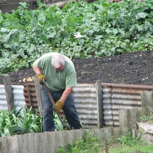 Ok agli spostamenti per gli hobby farmer