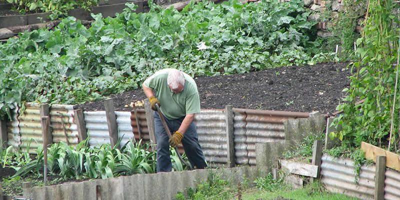 Nuovo sondaggio. 1,2 mln sono agricoltori per hobby