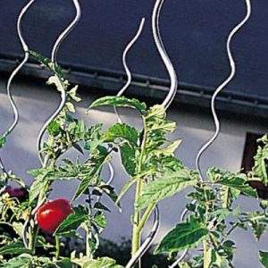 La linea pomodoro di Nortene