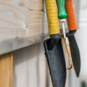 Qual&rsquo;&egrave; la regione pi&ugrave; green?