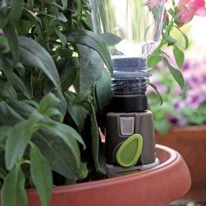 Aquaflora Holiday, la soluzione ideale per le tue vacanze