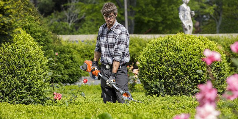 Gardening. Mercato stabile nel 2016, in crescita nel 2017