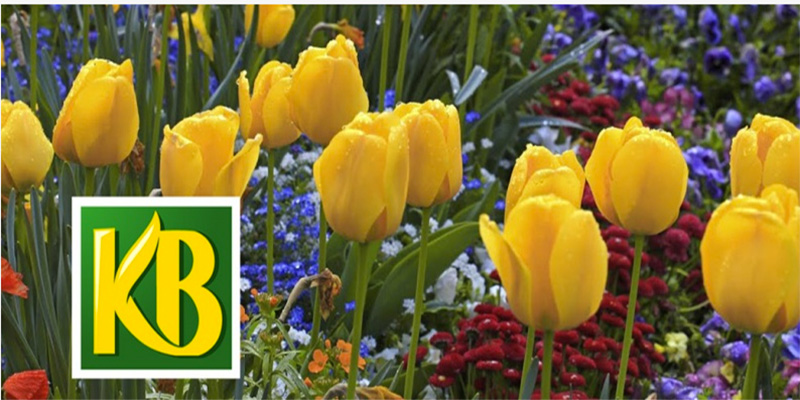 ScottsMiracle-Gro cede le attività in Europa e Australia