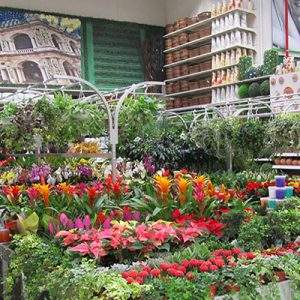 Osservatorio Casa, gli italiani e giardino ( ma anche balconi e terrazzi)