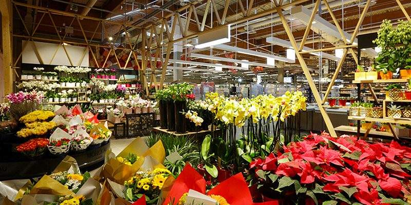 Extracoop di Coop Alleanza 3.0. Innovazione nel non food (brico compreso)
