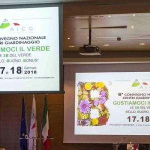 Il convegno nazionale 2018 della AICG