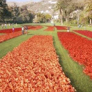 Torna la magia di Euroflora