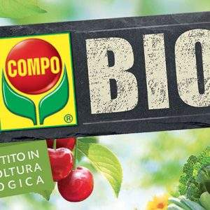 Fertilizzanti, la rivoluzione della lana di pecora