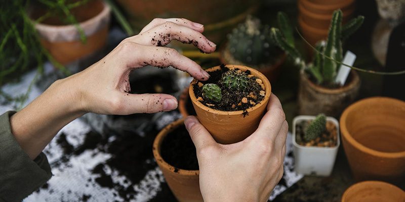 Nell&rsquo;e-commerce il &ldquo;garden&rdquo; funziona
