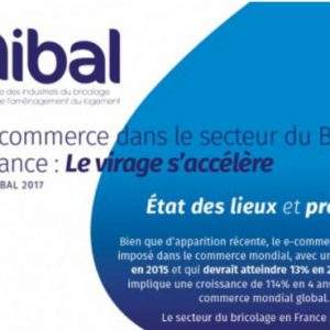 Unibal stima l&rsquo;e-commerce nel 2020 (In Francia)