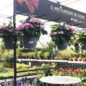 OBI rinnova il negozio di Curno (BG)