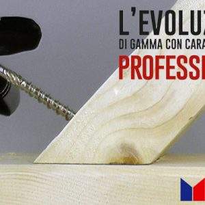 Masidef, la gamma viti per uso PRO
