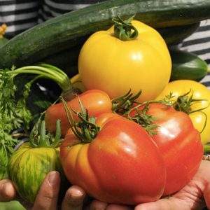 COMPO Italia, a scuola con Biocoltiviamo