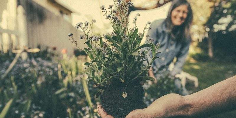 Il Ministro Centinaio e il Bonus Verde