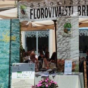 Dal 1&deg; settembre, Florinsieme a Brescia