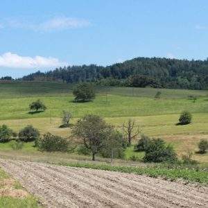 Universit&agrave;, a Siena nasce la facolt&agrave; di Agribusiness