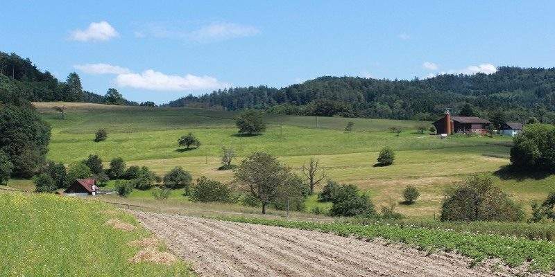 Universit&agrave;, a Siena nasce la facolt&agrave; di Agribusiness