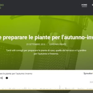 Radio Garden, una nuova radio per gli appassionati
