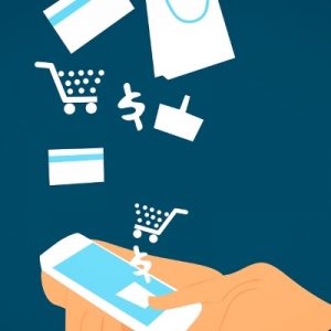 Rapporto Coop: l&rsquo;ecommerce &ldquo;vola&rdquo;