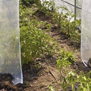 Serre Verdemax: custom protection for gardens