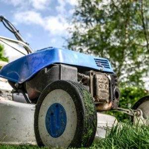 Macchine per il giardino a +3,2% nel 2018