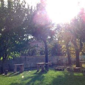 MyPlant&Garden e il concorso “I Giardini di Myplant”