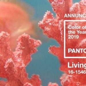 PANTONE&reg; 2019: 16-1546 Living Coral