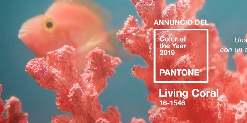 PANTONE&reg; 2019: 16-1546 Living Coral