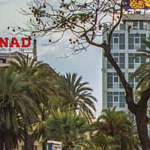 Censis-Conad per dare visibilità a idee e esperienze concrete