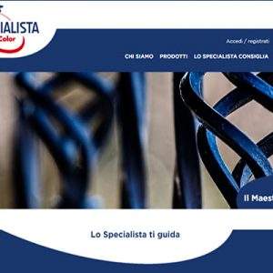 Lo Specialista di MisterColor, prodotti, immagine e marketing