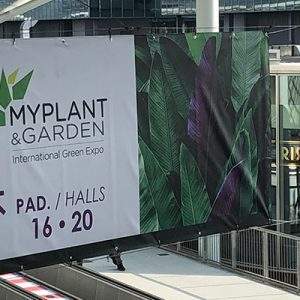Myplant&Garden 2019, oltre 20 mila visitatori